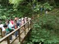P6180027_[].JPG