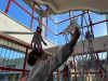 25N2_2023-11-26_at_18_37_51.jpeg