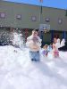 IMG_20260619_120041.jpg