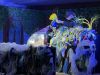 IMG_3927.jpeg