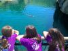 PXL_20260601_154915021~0.jpg