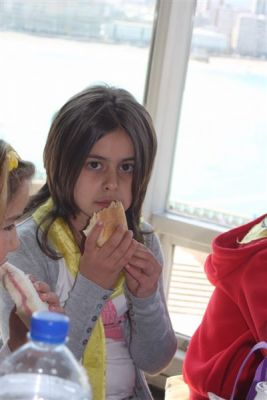 IMG_7330.jpg