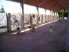 100_0449.JPG