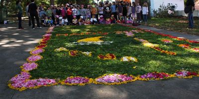 IMG_6863~0.jpg