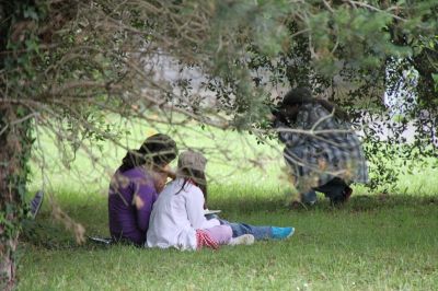 tn_IMG_8555.JPG