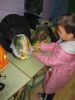 IMG_4335.JPG