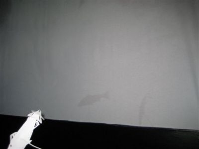 IMG_4655.JPG