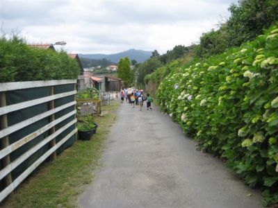 IMG_5145.JPG