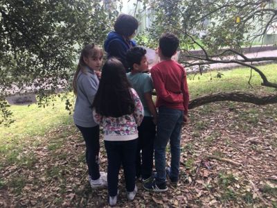 IMG-20180430-WA0011.jpg