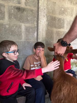 Cabras (10)
