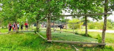 Humor Amarillo (15)
