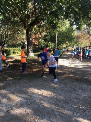 IMG_7405
Palabras chave: cross deporte 2024