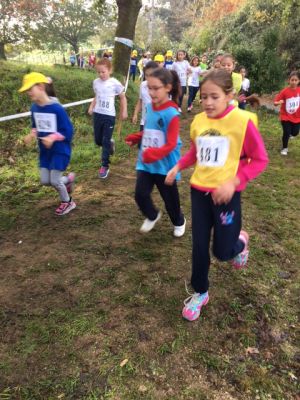 IMG_7429
Palabras chave: cross deporte 2024