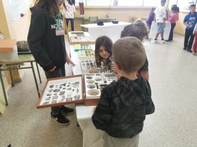 club de ciencia (10)
