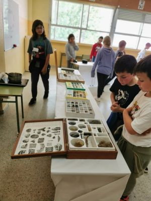 club de ciencia (7)
