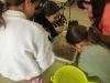 Microplasticos_281429.jpg