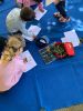 O_monte_nace_na_escola_281029.jpg