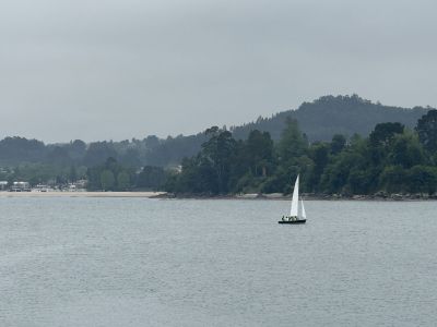 IMG_4681.JPG