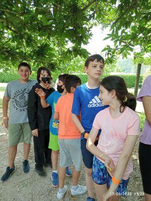 IMG_20220617_152804.jpg