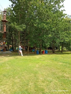 IMG_20220617_164448.jpg