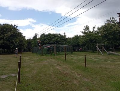 IMG_20230612_160648.jpg