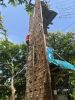 IMG-20250609-WA0337.jpg