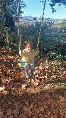 Palabras chave: bosque