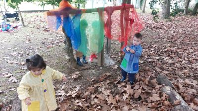 Palabras chave: bosque