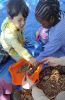 IMG-20250318-WA0007.jpg
