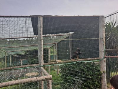 20220617_111239.jpg
