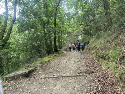 IMG_7881.JPG