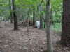 1376cd4b-b757-4305-a993-6ac37da20af1.JPG