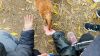 IMG_6355.jpeg