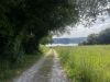 IMG_9080.jpeg