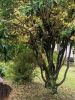 PXL_20250513_103639427.jpg
