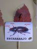 PXL_20251023_102905691.jpg