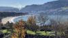 Nova_24D12967-F308-46F3-A64D-92DADE3FCB63-L0-001_.jpg