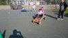Imagen_138.jpg