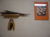 DSC04432.JPG