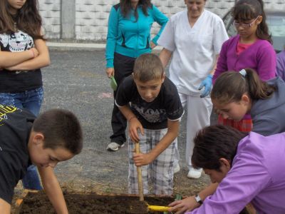 Norma na horta con sexto
