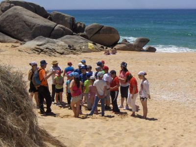 Coñecendo as características da paisaxe de praia e dunar
