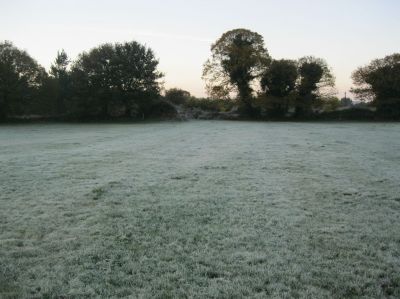 Luis 5º. Fría mañá de outono
