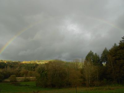 Alex 4º. Arco da vella sobre o bosque
