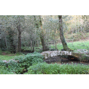 Ponte da Paradela (2)