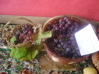 cabazas026.jpg