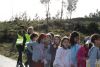camiño_056.jpg