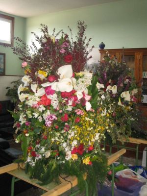 IMG_6115.jpg