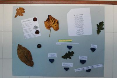 DSC_0244_800x537.JPG