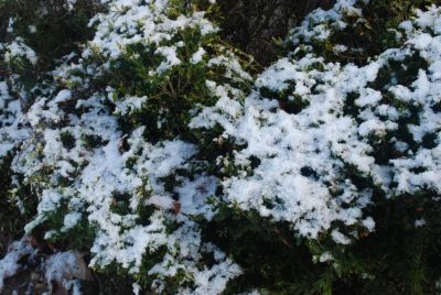 DSC_0313.JPG