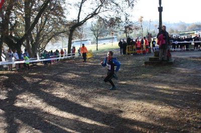 IMG_9617_[640x480].JPG